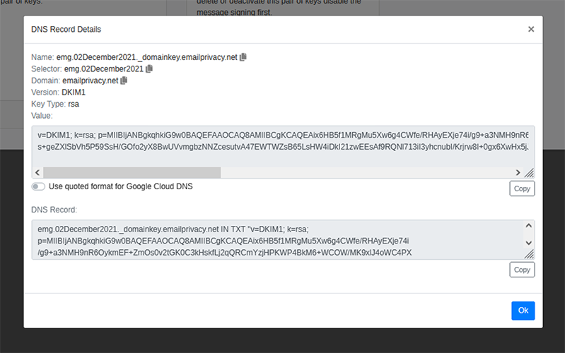 screen shot DNS settings